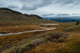 YNP view (1 of 1)